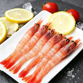 Arctic Sweet Shrimp