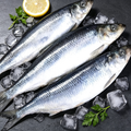 Sardines